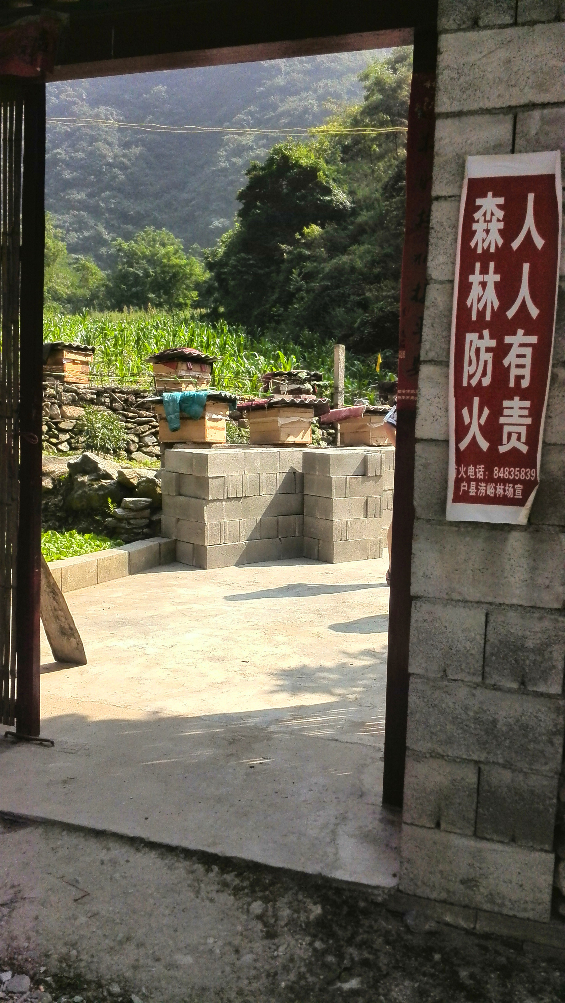 活动0.jpg